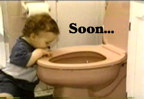 [Image: toilet-soon.jpg]